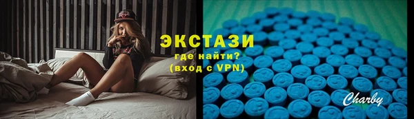 ECSTASY Каменка