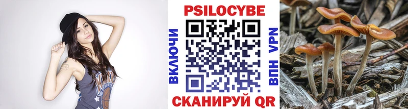 Купить где  Истра  Галлюциногенные грибы MAGIC MUSHROOMS 